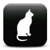 Captcha image 6919